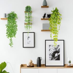 Artificial Plants with Pots